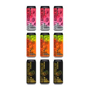 Set de Kombucha Refrescante Bebida de Kombucha de Té Probiótico (9x330ml)