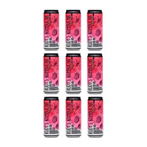 Kombucha Frambuesa y Albahaca (9x330ml)