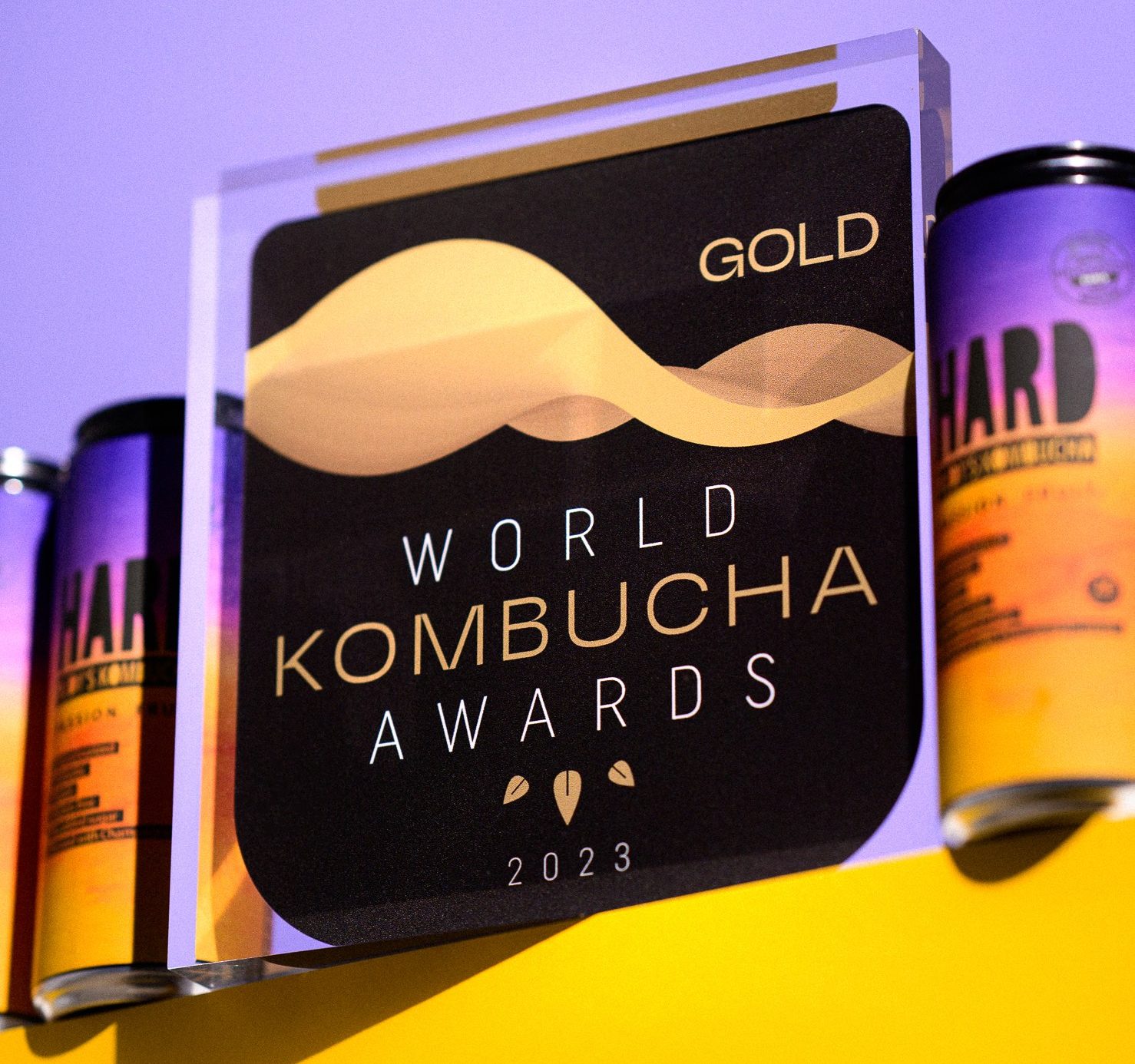 kombucha ecológica