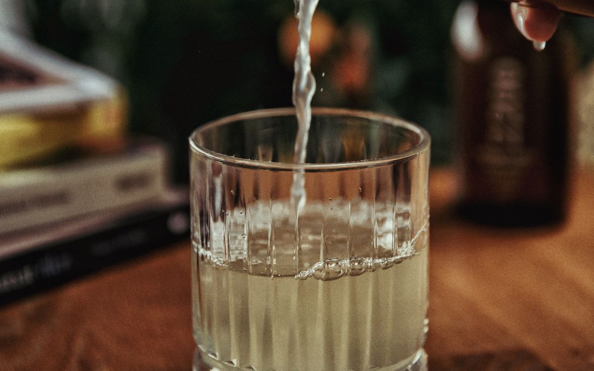 kombucha ecológica